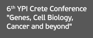6th YPI Crete Conference