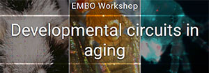 2021 EMBO Workshop Developmental Circuits in Aging