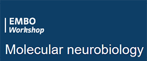 EMBO Workshop on Molecular Neurobiology