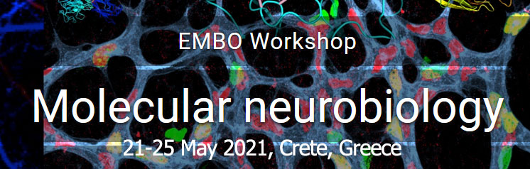 EMBO Workshop: Molecular neurobiology