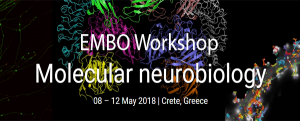 EMBO Molecular Neurobiology Workshop